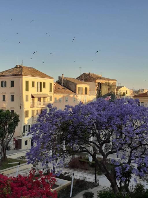 Old Town Corfu Romantic Studio Manto Nymfes公寓 外观 照片