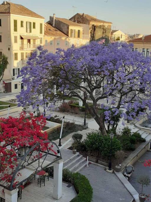 Old Town Corfu Romantic Studio Manto Nymfes公寓 外观 照片