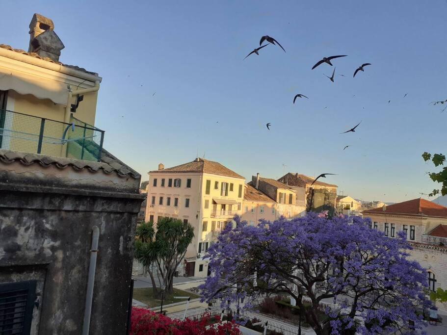 Old Town Corfu Romantic Studio Manto Nymfes公寓 外观 照片